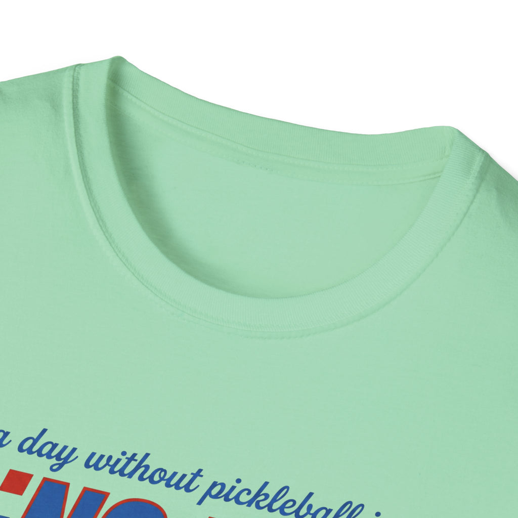 A Day Without Pickleball