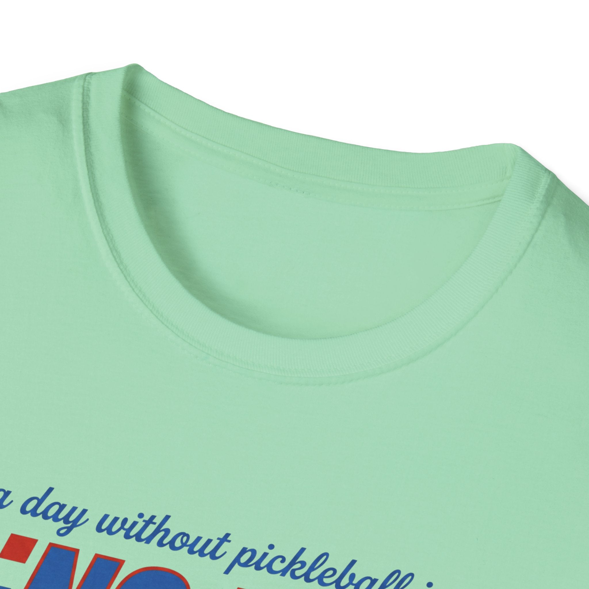 A Day Without Pickleball